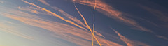 homomutatus or chemtrails