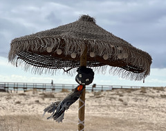 Monte Gordo’s Halloween remains ! HFF IS NOW OPEN, WELCOME TO POST!