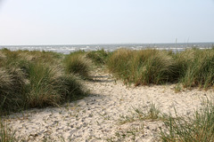 Nordsee bei Schillig