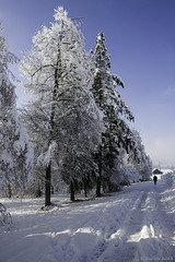 Spaziergang im Schnee (© Buelipix)