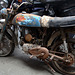 Suzuki AP 50 , restauration terminée , juste les pneus à gonfler et c'est reparti comme en 14 .