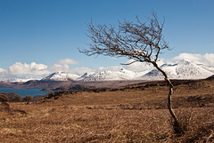 Ben More and Loch Na Keal - from Ulva