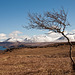 Ben More and Loch Na Keal - from Ulva