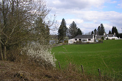 Houses On Loch Ken