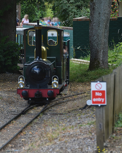 Marwell Zoo (40) - 15 July 2019