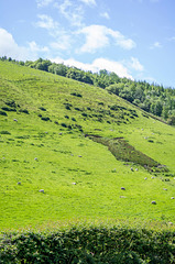 From a walk at Moel Famauv34