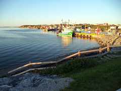 Clôture portuaire /Harbour fence