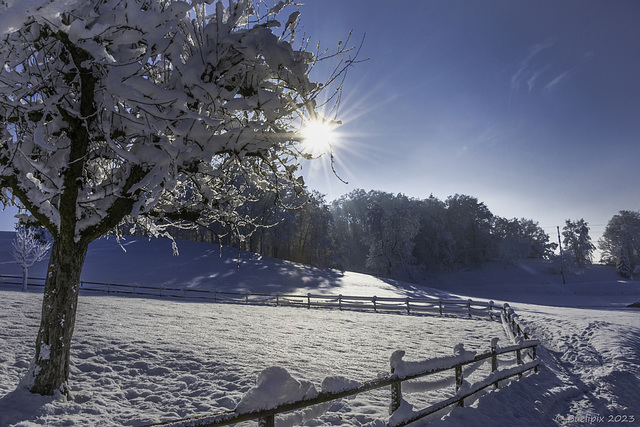 der erste Schnee im Winter 2023-2024 im Zürcher Unterland (© Buelipix)