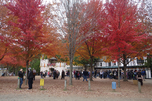 Maryland Renaissance Festival