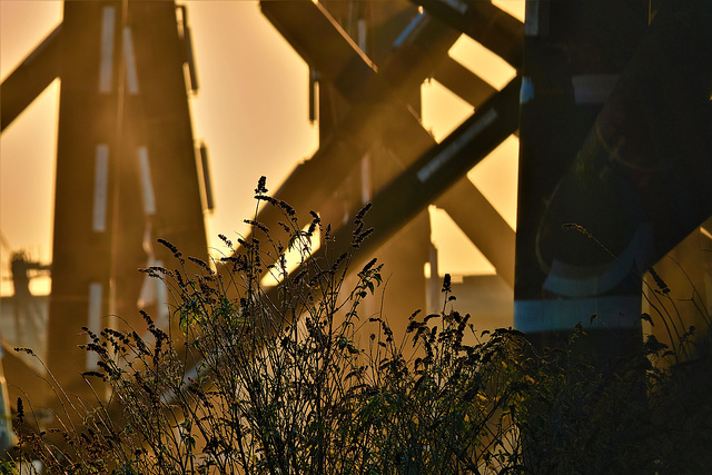 Industrial Growth