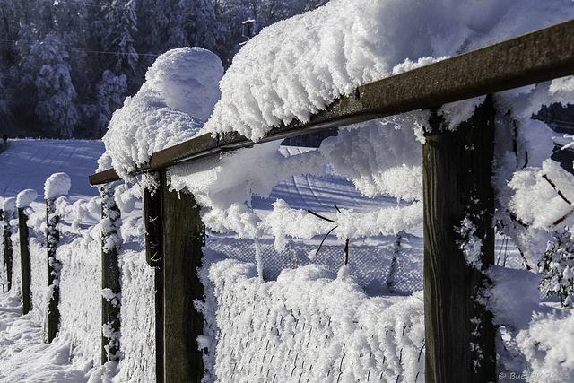 der erste Schnee im Zürcher Unterland in diesem Winter (© Buelipix)