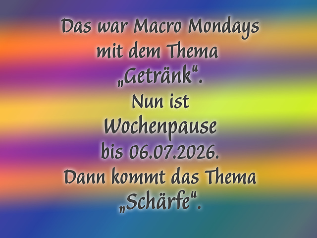 Pause bis Schärfe (Macro Mondays)
