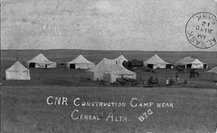 5969. CNR Construction Camp near Cereal Alta.