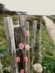 au bout du chemin ,,,, l'éternité