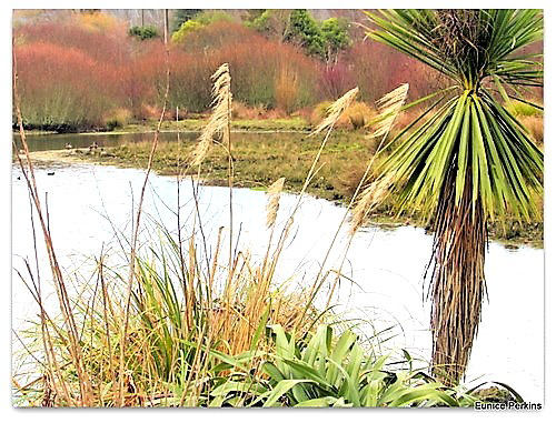 Lake Whakamaru.