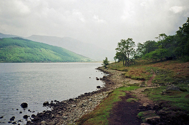 Path on the southern shore of Ennerdale Water near the woodland (Scan from May 1990)