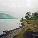Path on the southern shore of Ennerdale Water near the woodland (Scan from May 1990)