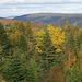 Autumn colors in Fundy National Park