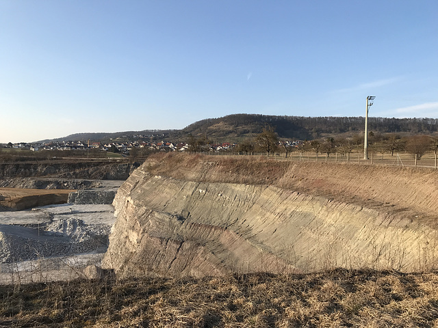 Ehemaliger Steinbruch bei Altingen