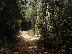 The path to St Valentine's Peak