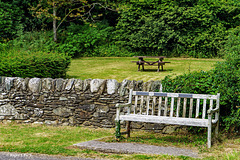 Castle Grounds! Castle Grounds!