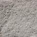 IMG 5768