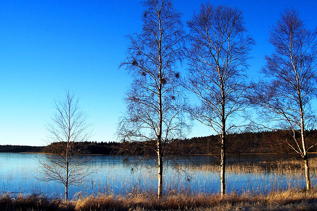 SE - Somewhere on the way from Oslo to Göteborg