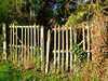 HFF HAPPY FENCE FRIDAY