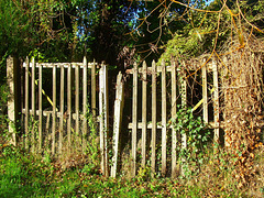 HFF HAPPY FENCE FRIDAY