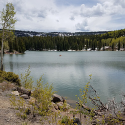 20190616 134026 001 20190616 134026 001