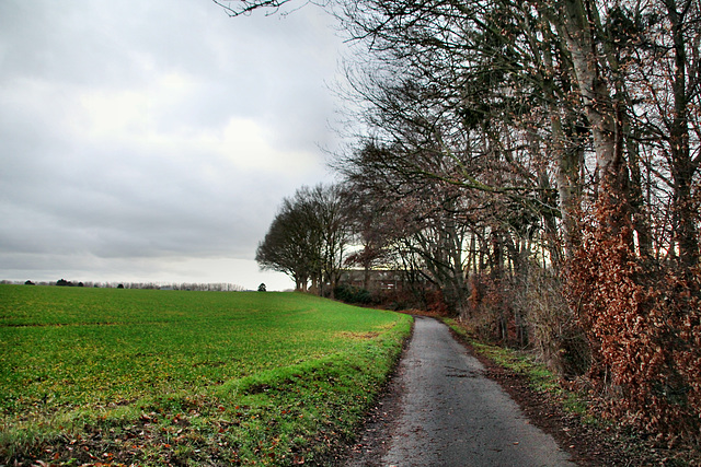 Am Stuckenberg (Unna) / 25.12.2020