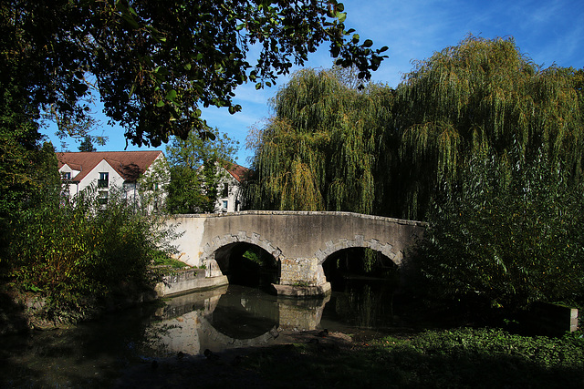 La photo du pont de Boigny-sur-Bionne ( 45 )