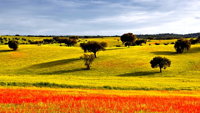 Alentejo