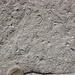IMG 5769