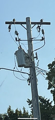 MECO 13.8kV? Pole