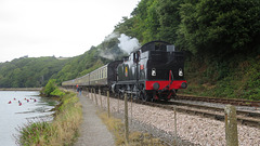 Dartmouth Steam Railway