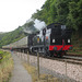 Dartmouth Steam Railway