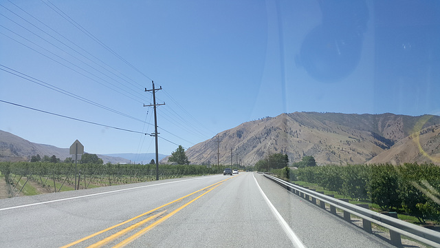 Poles seen along US Hwy 97 North of East Wenatchee, WA.  Douglas PUD