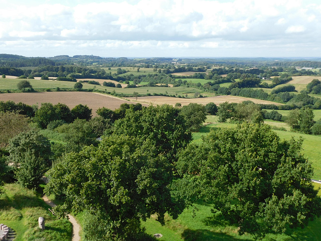 Blick vom Aussichtsturm auf dem Aschberg