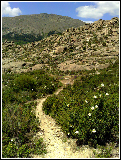 The Long and Winding Path