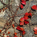 red decorations