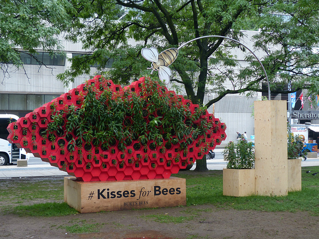 Kisses for Bees (3) - 23 June 2017