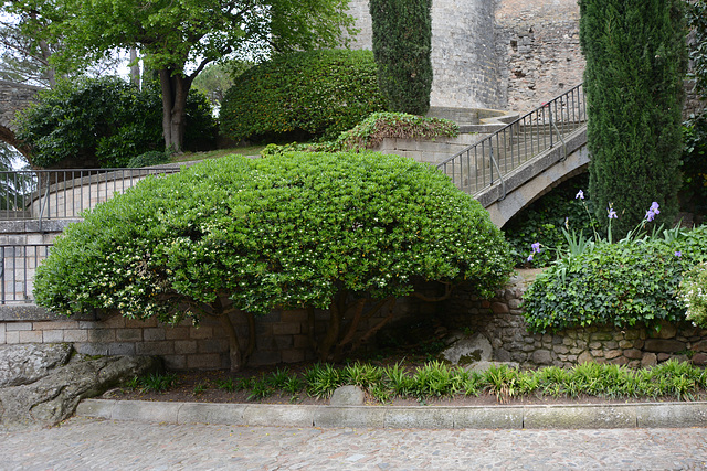 Girona, In the Jardins De La Francesa