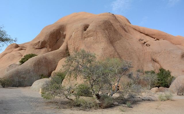 Namibia, Granite Rock Pool Spitzkoppe