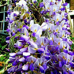 P1024792