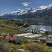 The fruit gardens of Hardanger.