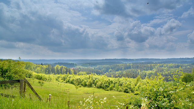 Landschaft in Naturpark Schwäbische Wald