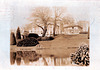 Flower Lilies, Windley, Derbyshire c1910