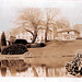 Flower Lilies, Windley, Derbyshire c1910