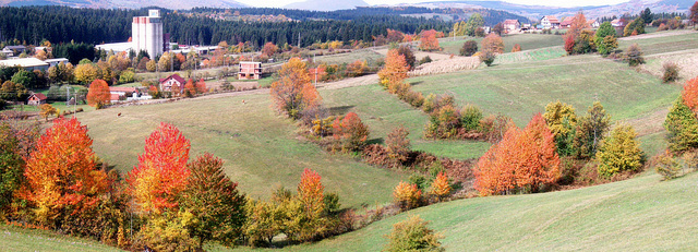 My Kneževo in autumn